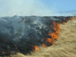 Feuer am Highway